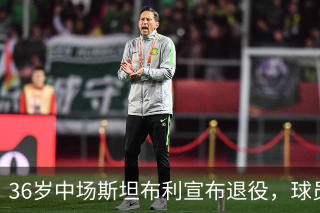 36岁中场斯坦布利宣布退役，球员生涯曾效力巴黎、热刺等队